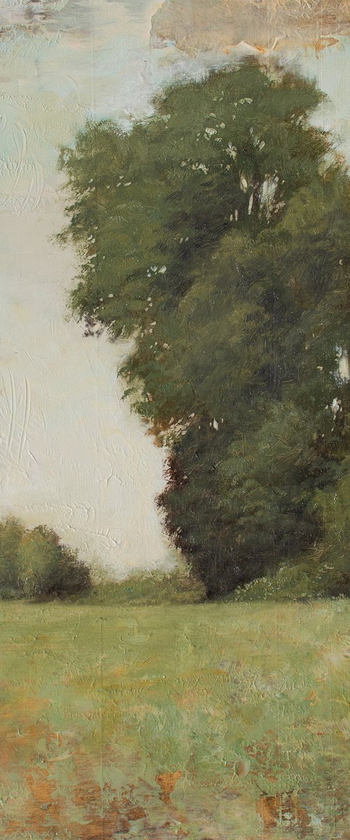 Summer Trees 230602 by Don Bishop