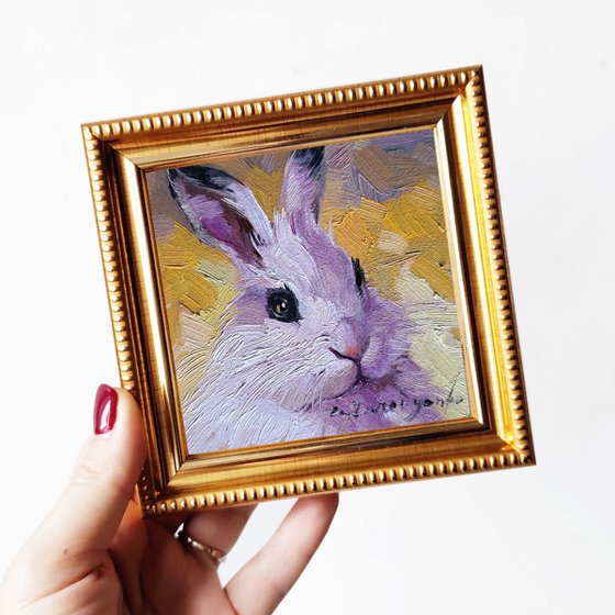 White rabbit portrait