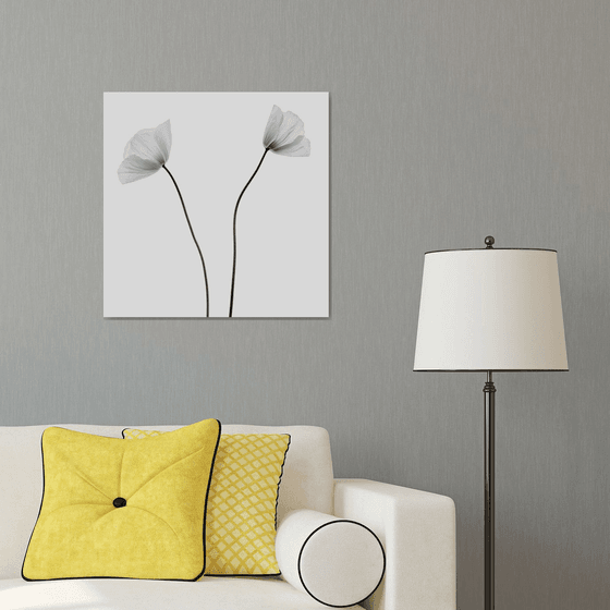 Two Poppies