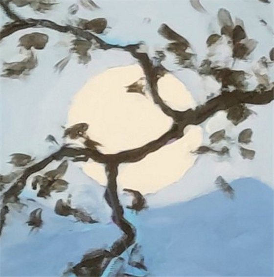 moonlight