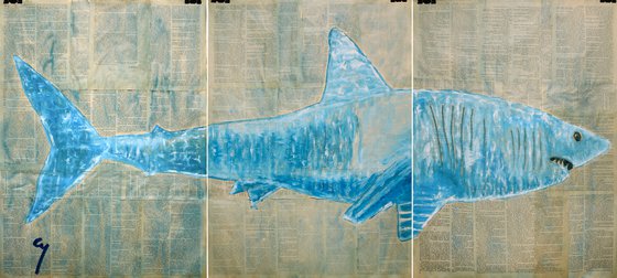 Shark. (triptych)