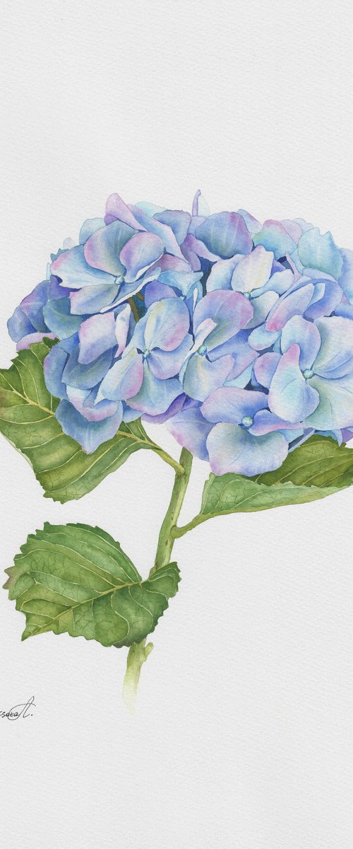 True Blue by Oksana Abdukadyrova