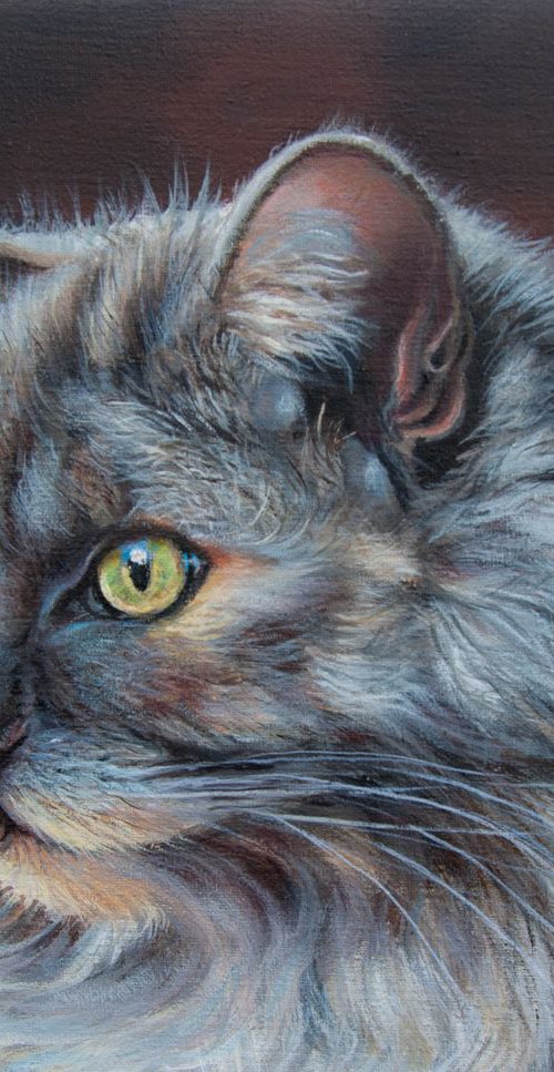 Portrait cat by Norma Beatriz Zaro