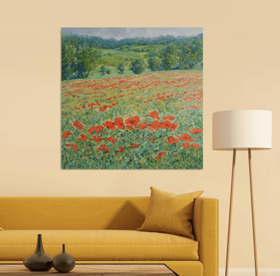 Poppy fields in Tuscany