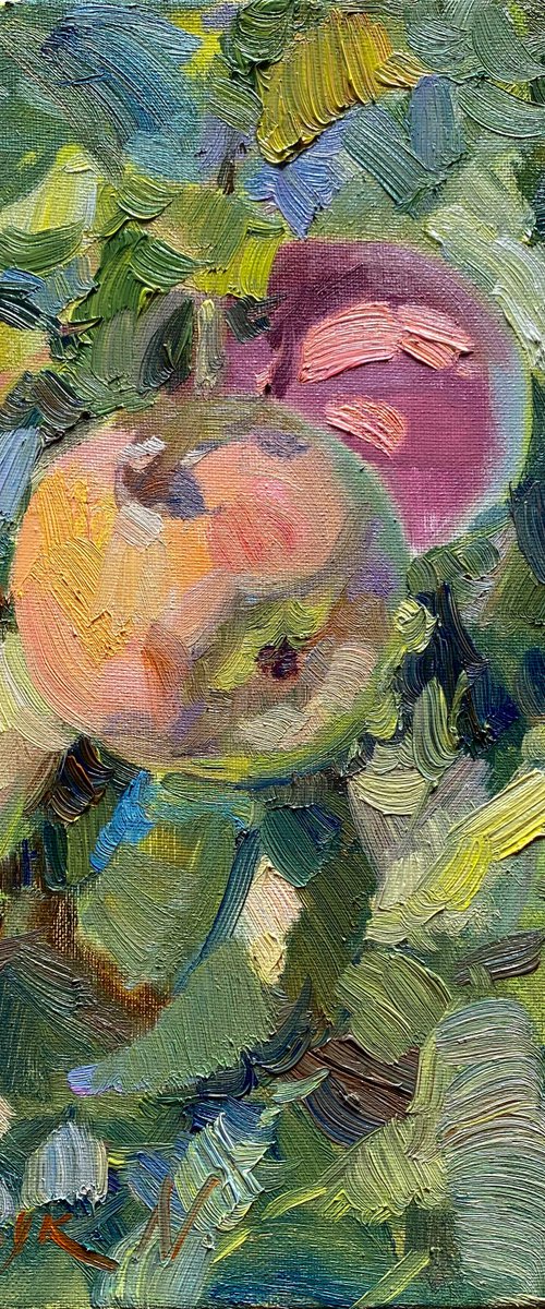Apples on the tree by Nataliia Nosyk