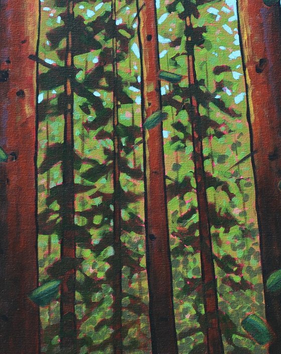 Trees of the Forest