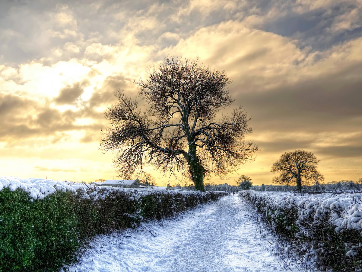 Winter Wonderland by Paul Englefield
