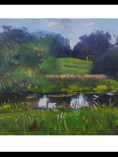 River near Coldwaltham. by Andre Pallat