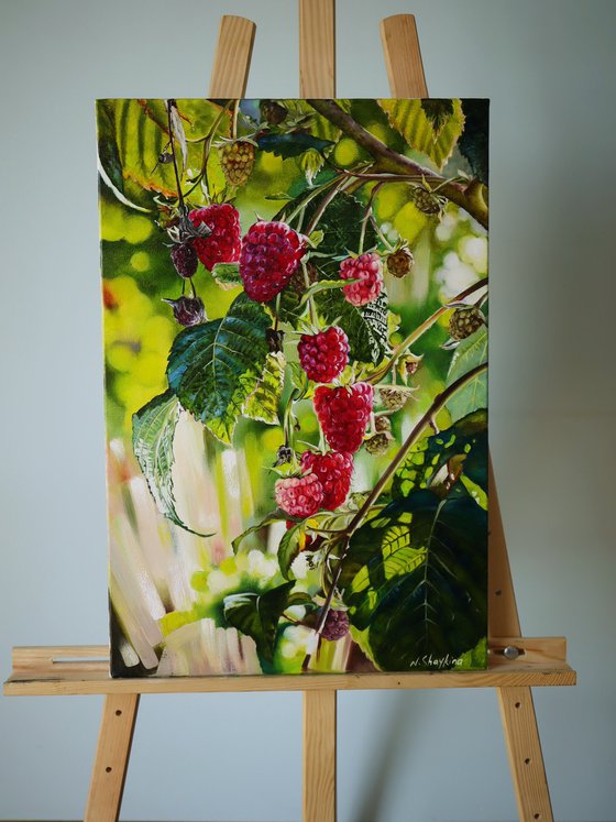 Ripe Raspberries on Branch