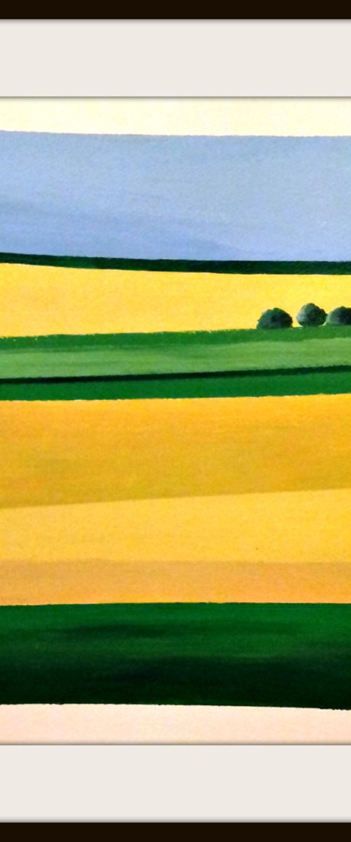 Rapeseed Fields Hampshire III by Jan Rippingham