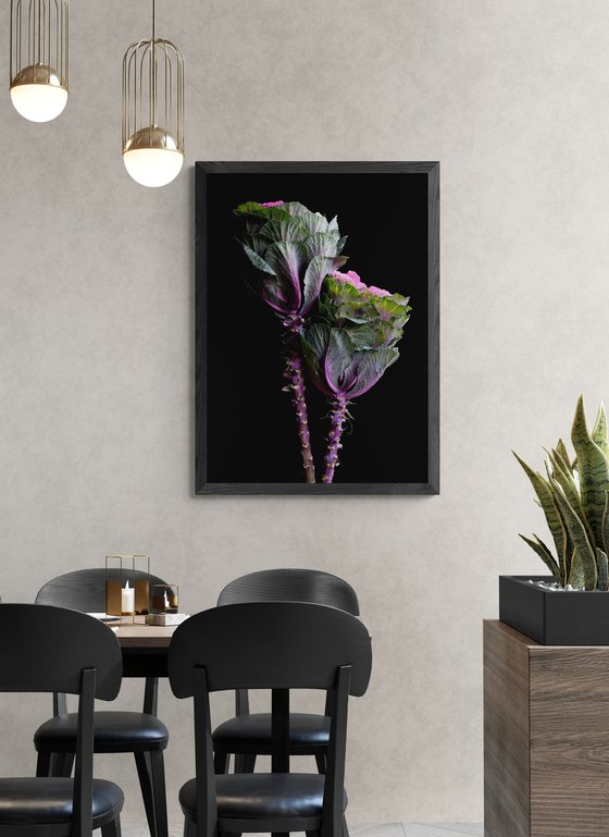 Flowering Kale