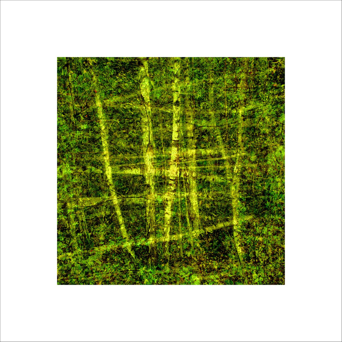 Abstract Photograph By Paul Harrison, 30 X 30", Signs#20, Original Artwork
