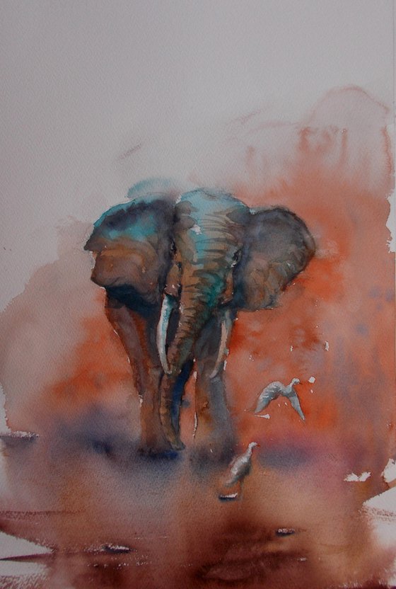 elephant 4