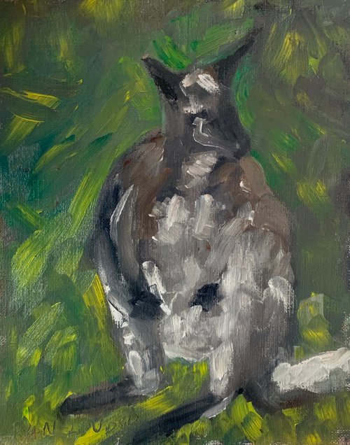 Wallaby by Ryan  Louder