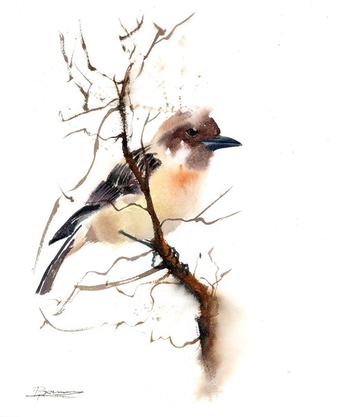 Bird on the tree by Olga Shefranov (Tchefranov)