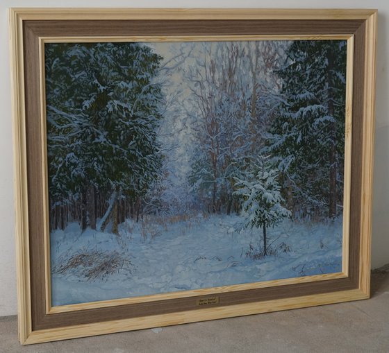 Winter forest