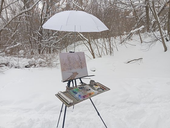 At the Ponomarka River in January