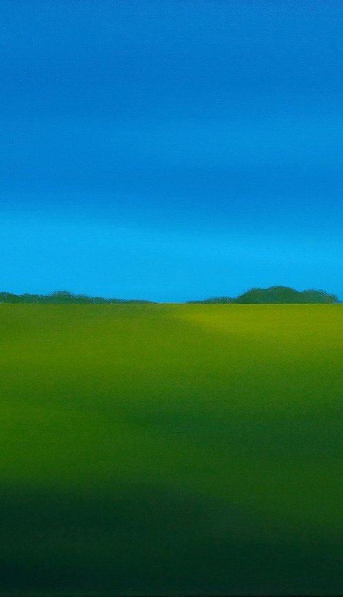 Polder in Zuid-Beveland (019) by Nelly van Nieuwenhuijzen