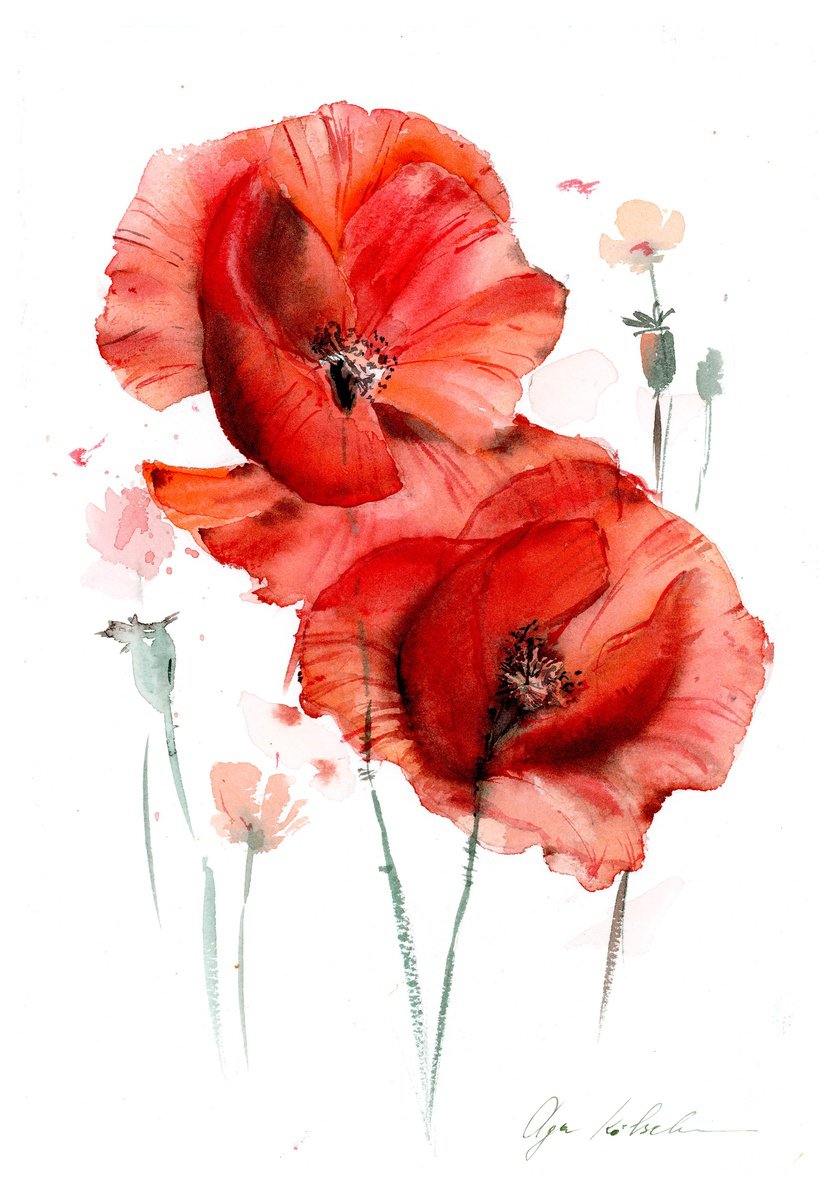 Watercolor abstract poppies by Olga Koelsch