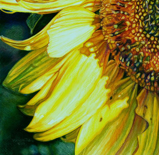 Original Sunflower Painting, Sunbeam on a Sunflower, Floral Wall Art