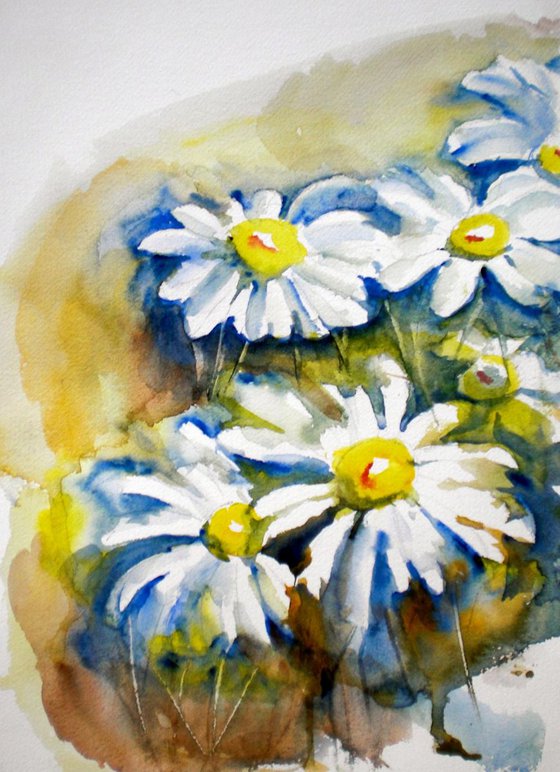 daisies