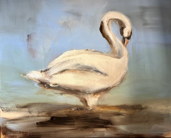 The Swan