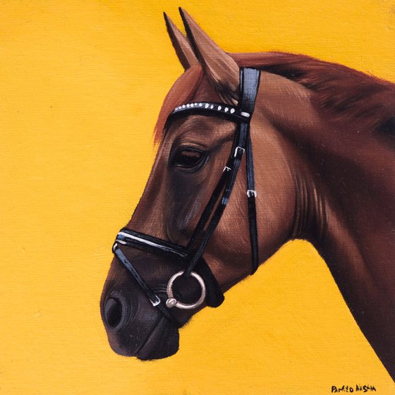 Horse Portrait 110