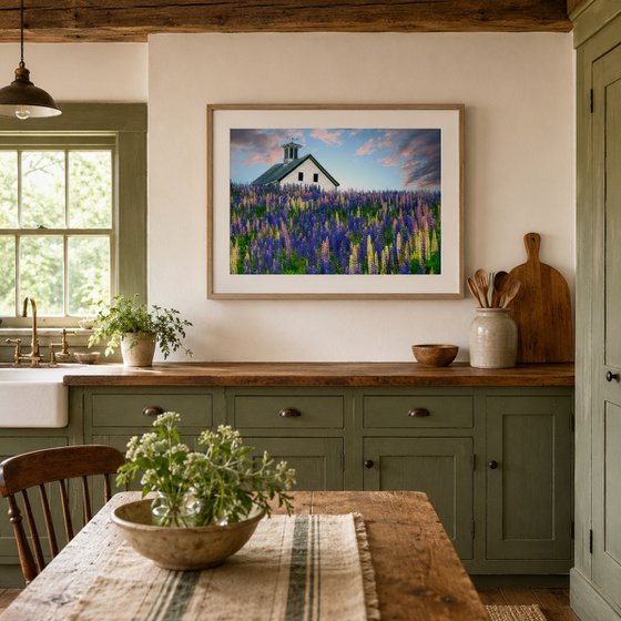 Lupine Field, Whitefield, Maine, 61 x 41