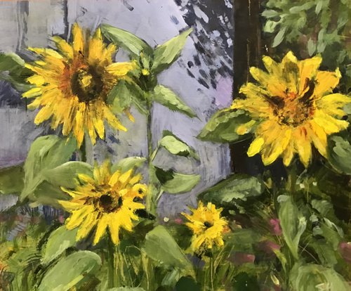 Sunflowers & Shed 2 by Sandra Haney