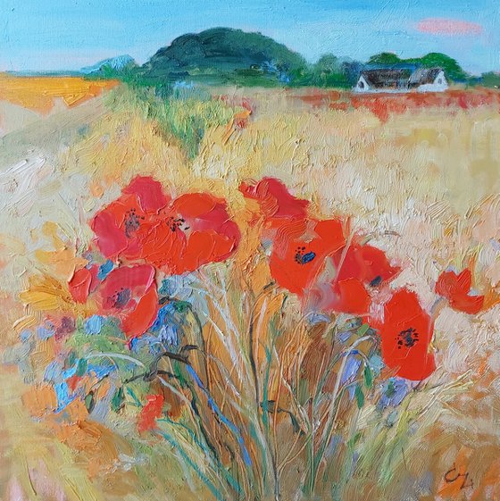 poppies