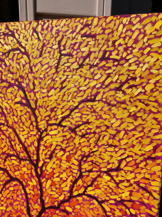 Aspen dreams