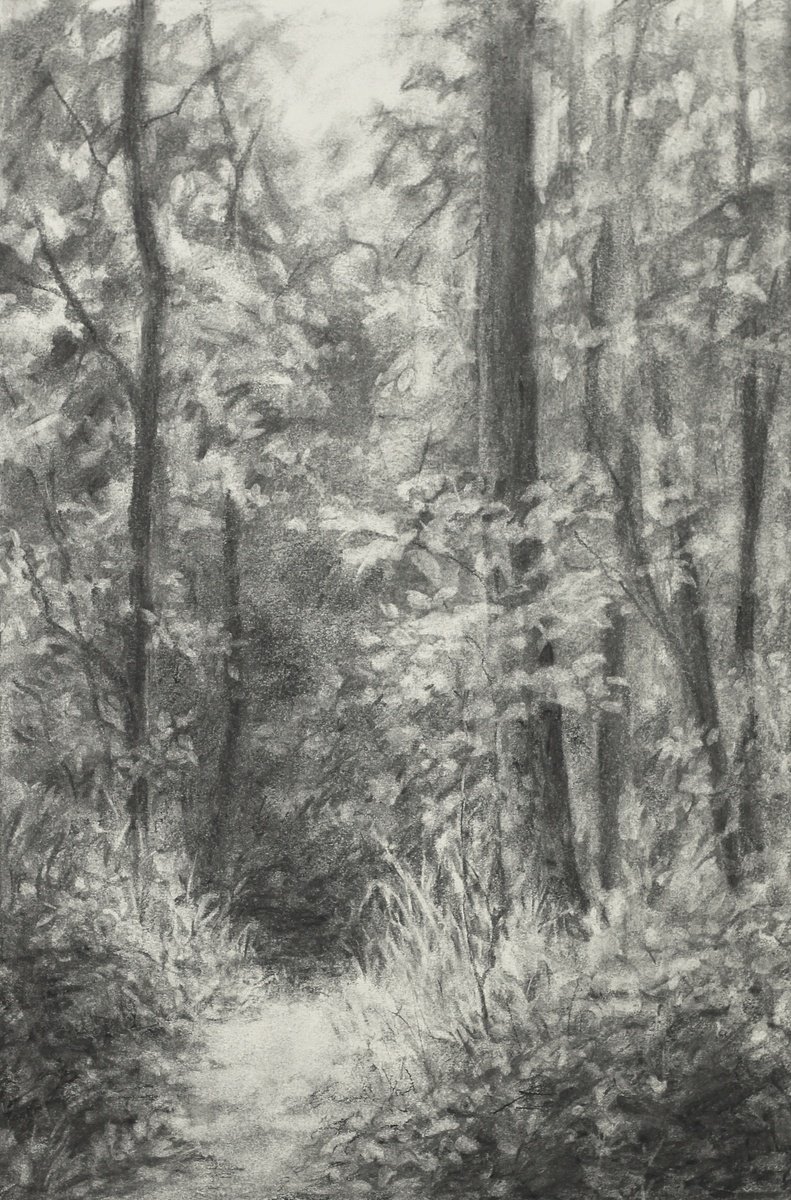 Expressive Landscape Charcoal Drawing By John Fleck, 13 X 17, Tippecanoe Woods Scene, Original Artwork