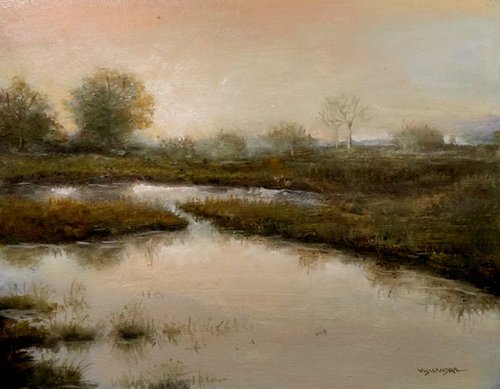 Marsh meadows1 by Vishalandra Dakur