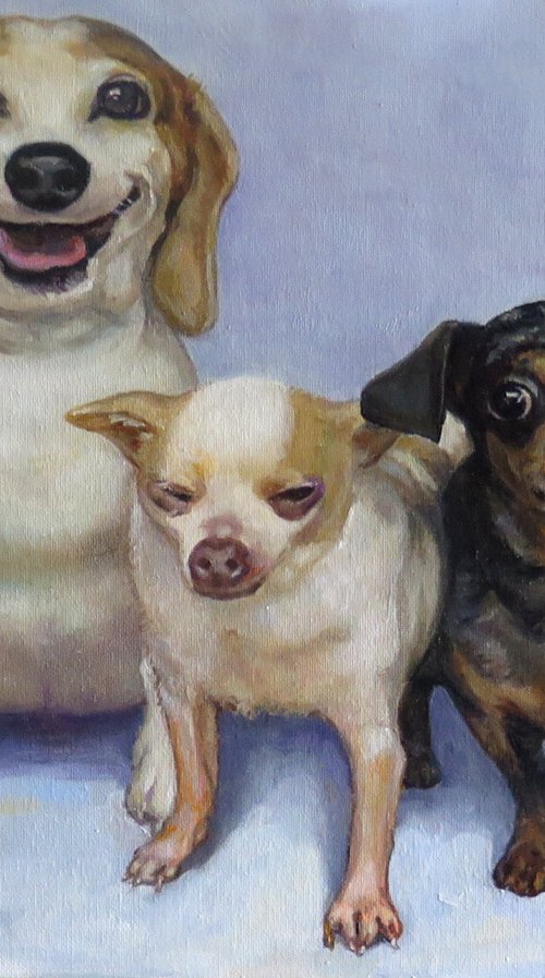 Commission Portraits of Three Dogs by QI Debrah