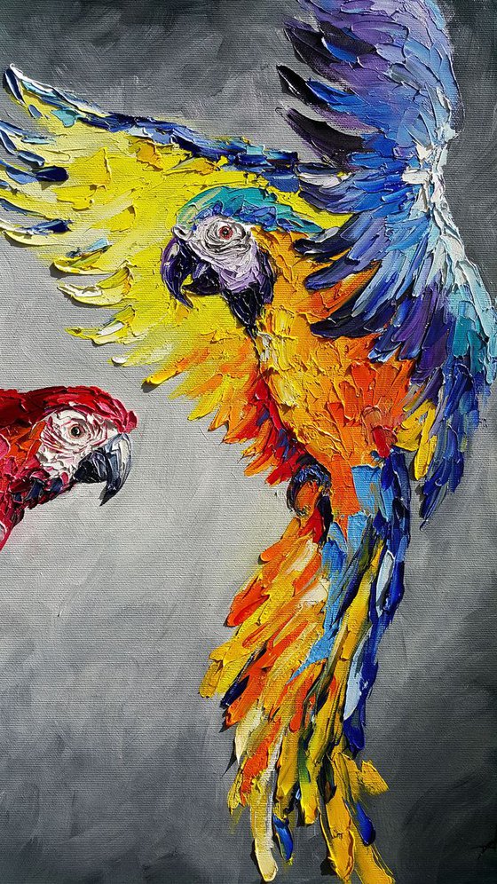 Dance in the sky - Ara parrot, bird, parrots, birds love, parrots art