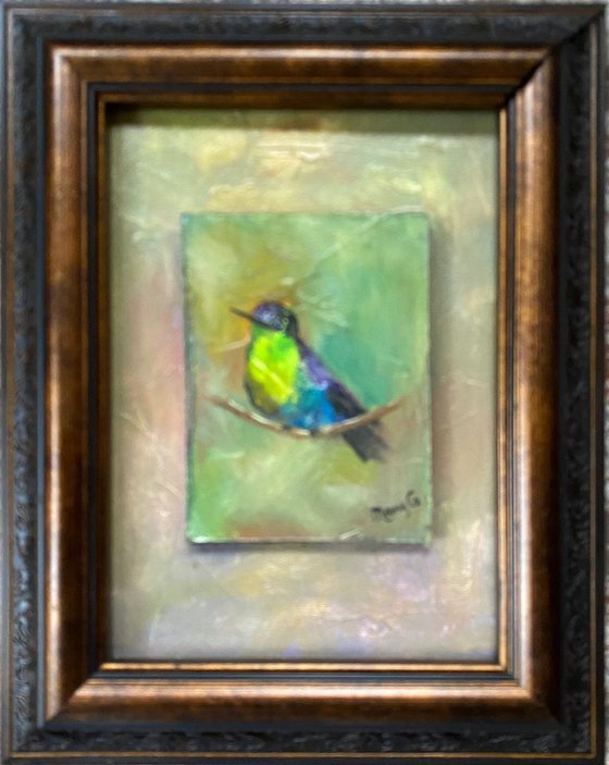 Crowned Woodnymph Hummingbird oil painting on a gessoed masonite mounted on gessoed panelboard 5x7