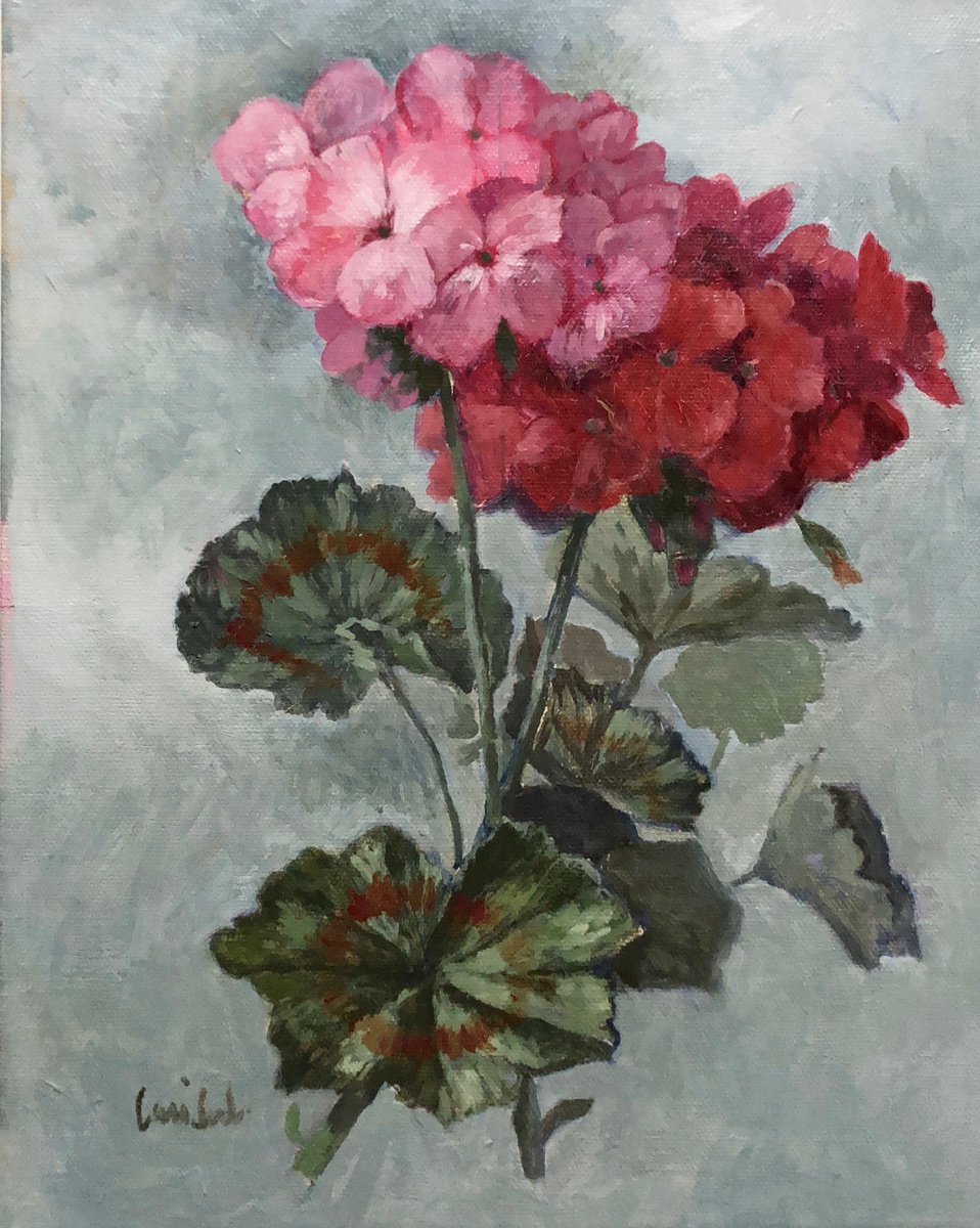 Pink & Red Geraniums by Caridad I. Barragan