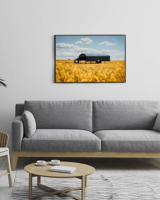 The Dutch Barn