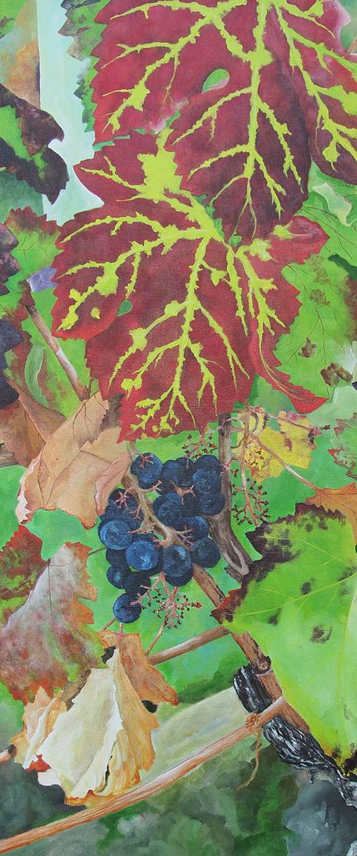 Bordeaux Vineyard 4 by Steven Fleit