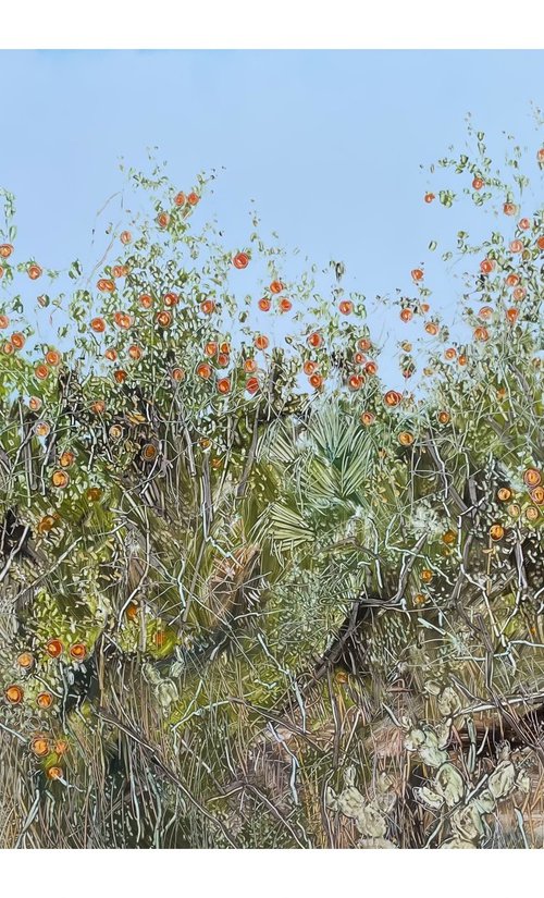 An Abandoned Spanish Orange Orcha by Maija Nochevnaya