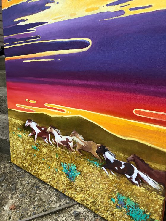 Horses. Sunset