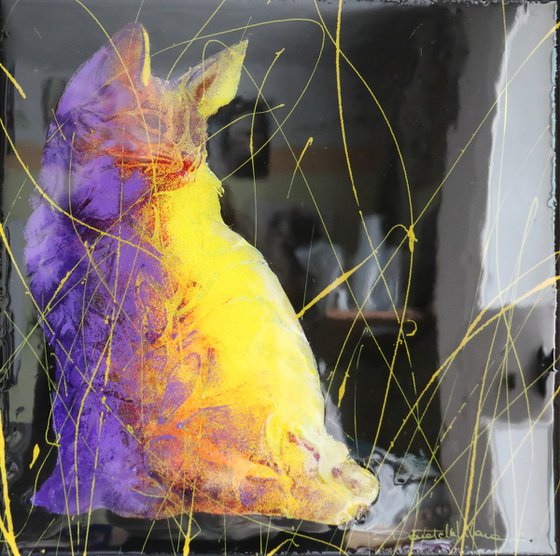 GATTO POP viola