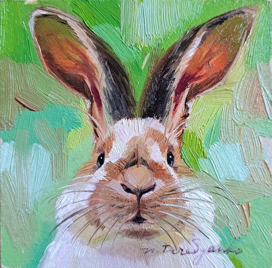 Rabbit portrait