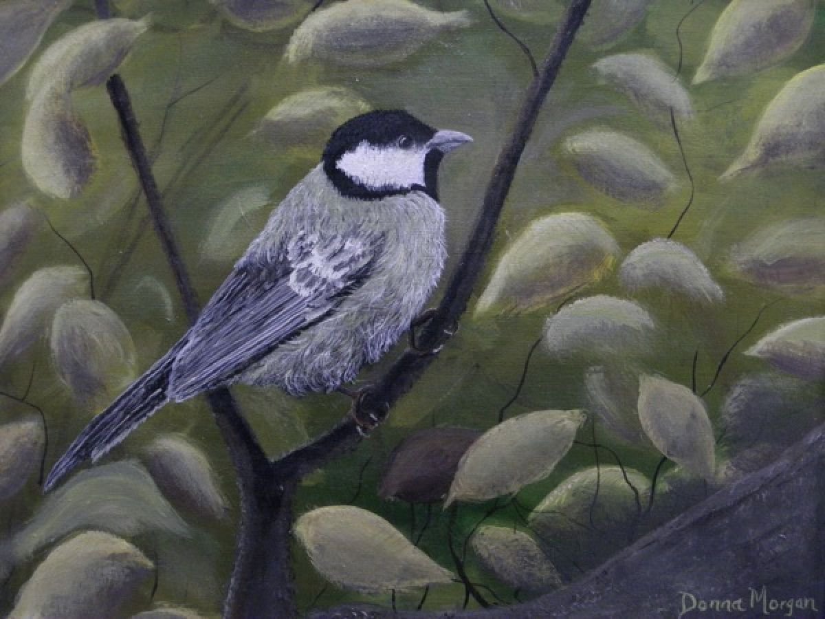 Chickadee by Donna Daniels