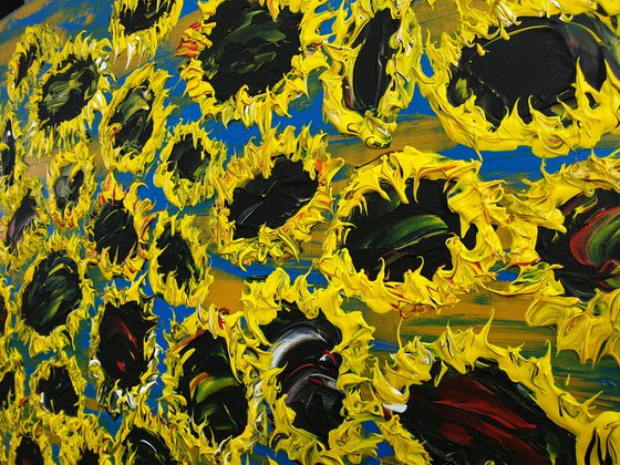 Blooming sunflowers 7