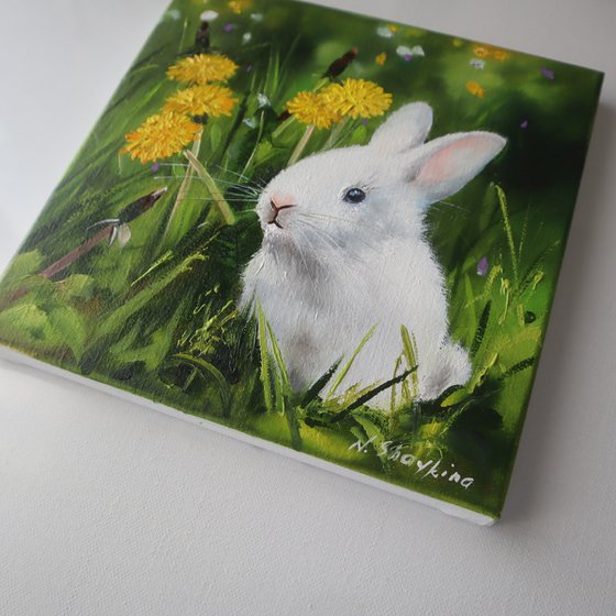 White Rabbit in Dandelions