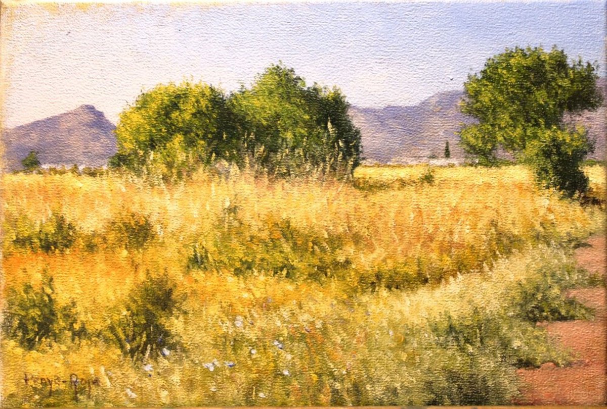 Alrededores de Moncofa by Vicent Penya-Roja