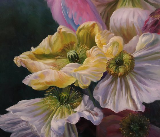 "Dream among the poppies"