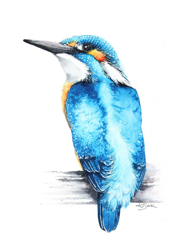 Kingfisher, 20x30cm, birds, wildlife and animals watercolours