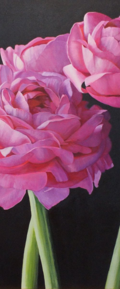 "Her Name Was Lola..." Ranuncula by Sandra Michele Knight